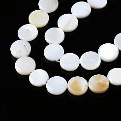Natural Freshwater Shell Beads Strands&nbsp;SHEL-Q024-016