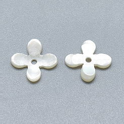 Natural White Shell Beads&nbsp;SSHEL-S260-056A-01