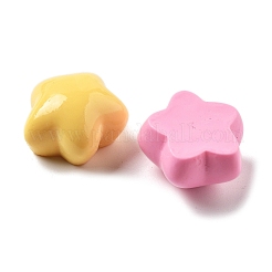 Resin Cabochon&nbsp;CRES-I037-01