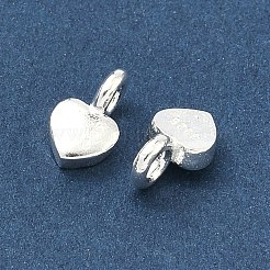 925 Sterling Silver Charms&nbsp;STER-H119-05C-S