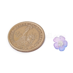 Acrylic Charms&nbsp;PALLOY-JF04521