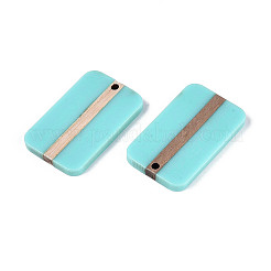 Opaque Resin & Wood Pendants&nbsp;RESI-T057-44A