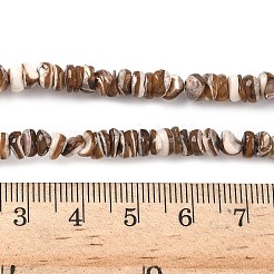 Natural Black Lip Shell Beads Strands&nbsp;SSHEL-F304-02A