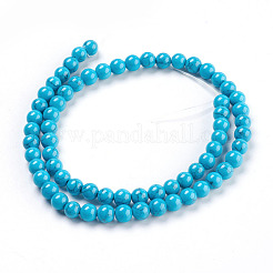 Synthetic Turquoise Beads Strands&nbsp;TURQ-H038-6mm-XXS09