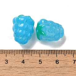 Handmade Lampwork Beads Strands&nbsp;LAMP-G162-05C