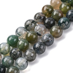 Natural Moss Agate Beads Strands&nbsp;G-F453-8mm