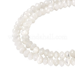 1 Strand Natural Trochus Shell Rondelle Beads Strands&nbsp;SSHEL-TA0001-16A