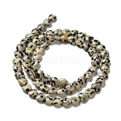Natural Dalmatian Jasper Beads Strands&nbsp;G-P575-C03-6mm