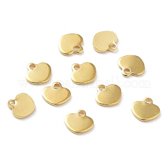 201 Stainless Steel Charms&nbsp;STAS-K259-08G