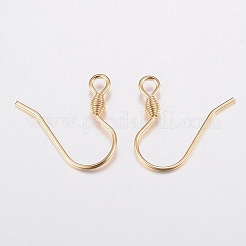 304 Stainless Steel Earring Hooks&nbsp;STAS-G179-45G