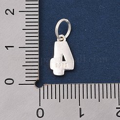 Number Series 925 Sterling Silver Charms&nbsp;LS-STER-Q002-01E