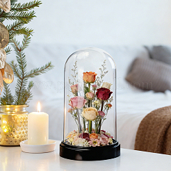 Acrylic Dome Cover&nbsp;DIY-WH0899-949A