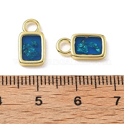 Epoxy Resin Charms&nbsp;KK-Z114-21G-02