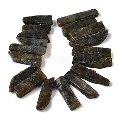Natural Larvikite Beads Strands&nbsp;G-S386-D10