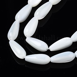 Natural Trochid Shell/Trochus Shell Beads Strands&nbsp;X-SSHEL-N034-95B-B01