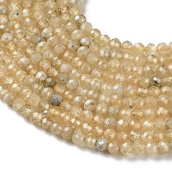 Natural Yellow Garnet Beads Strands&nbsp;G-Z129-B01-3mm