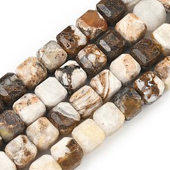 Natural Petrified Wood Beads Strands&nbsp;G-C267-A06