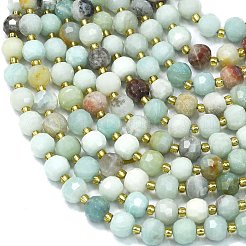 Natural Flower Amazonite Beads Strands&nbsp;G-K389-E72-01
