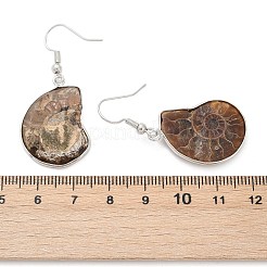 Fossil Spiral Dangle Earrings&nbsp;EJEW-P153-01