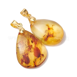 Natural Amber Pendants&nbsp;PALLOY-JF05260-01