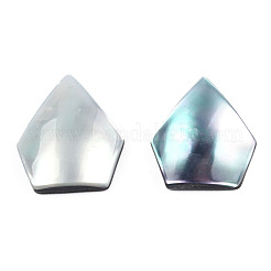 Natural Turbo Cornulus/Top Shells Cabochons&nbsp;SSHEL-N003-155A
