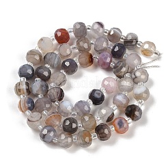 Natural Botswana Agate Beads Strands&nbsp;G-H057-A05-01