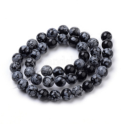 Natural Snowflake Obsidian Beads Strands&nbsp;X-G-S259-20-6mm