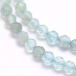 Natural Apatite Beads Strands&nbsp;G-I156-05-2mm