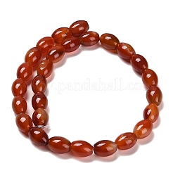 Natural Agate Beads Strands&nbsp;G-B079-E01-01