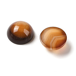 Natural Red Banded Agate Cabochons&nbsp;G-B082-07C-01