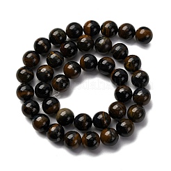 Dyed Natural Blue Tiger Iron Beads Strands&nbsp;G-G286-A02-10mm