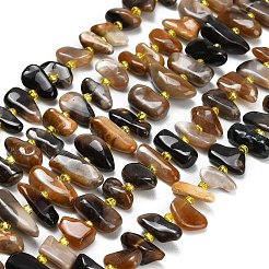 Natural Black African Opal  Beads Strands&nbsp;G-Z124-B01-01