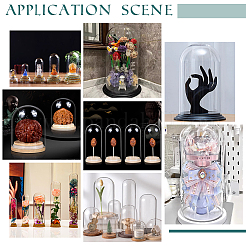 10Pcs 5 Style Transparent Glass Bottle&nbsp;AJEW-PH0011-40