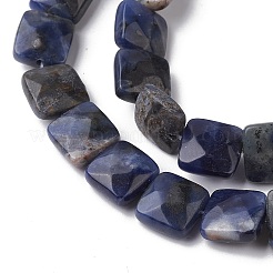 Natural Sodalite Beads Strands&nbsp;G-K359-B07-01