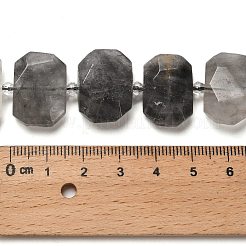 Natural Cloudy Quartz Beads Strands&nbsp;G-H078-B17-01