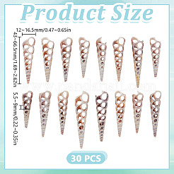 Turritella Center Cut Shell for Vase Fillers&nbsp;SSHEL-GO0001-04