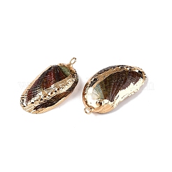 Natural Paua Shell Pendants&nbsp;SSHEL-N038-18A