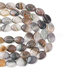 Natural Agate Beads Strands&nbsp;G-L654-B01-01