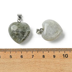 Natural Labradorite Pendants&nbsp;G-F820-10A-06