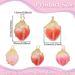 12Pcs 3 Colors Opaque Acrylic Charms&nbsp;MACR-UN0001-02