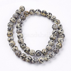 Natural Dalmatian Jasper Stone Bead Strands&nbsp;X-G-R193-14-8mm