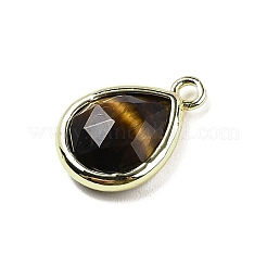 Natural Tiger Eye Faceted Pendants&nbsp;G-U019-05G-11