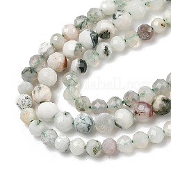 Natural Tree Agate Beads Strands&nbsp;G-RM250104-D6