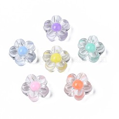 Transparent Acrylic Beads&nbsp;TACR-S135-013