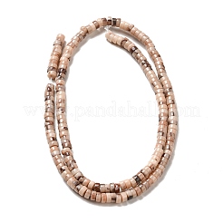 Natural Fossil Beads Strands&nbsp;G-I339-05