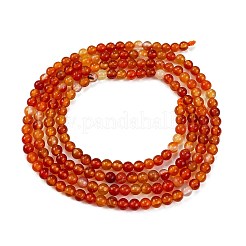 Natural Red Agate Beads Strands&nbsp;G-M438-A10-02