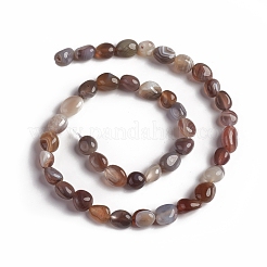 Natural Botswana Agate Beads Strands&nbsp;G-D0002-D81