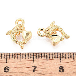 Brass Charms&nbsp;X1-KK-N263-119D-G