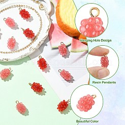12Pcs 2 Colors Resin Pendants&nbsp;RESI-CJ0004-71
