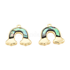 Synthetic Paua Shell Charms&nbsp;KK-N231-385